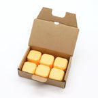 Set of 6 Aromatherapy Shower Steamers - Revitalise