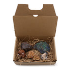 Rare Mineral Specimens - Pack of 5 - Mix 3