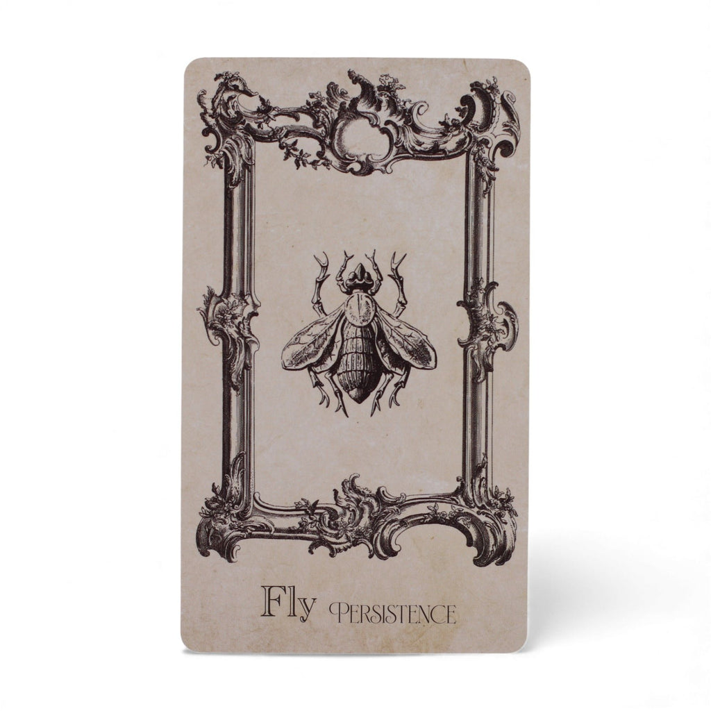 The Spellbook Oracle Cards- Witchcraft Deck