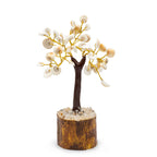 Med Gomati Chakra Circle Stone Tree - (45 stones)