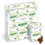 Plant Based Incense Cones - Citronella & Lemongrass