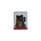 Mini Solar Powered Money Cat in Box - Black