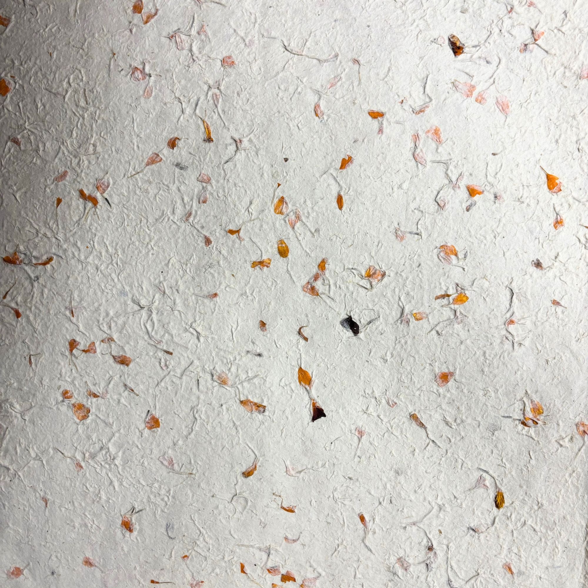 Lokta Craft & Wrapping Paper 51x76cm - Marigold
