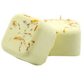 Set of 6 Aromatherapy Shower Steamers - Focus Booster