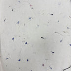 Lokta Craft & Wrapping Paper 51x76cm – Cornflower Petal