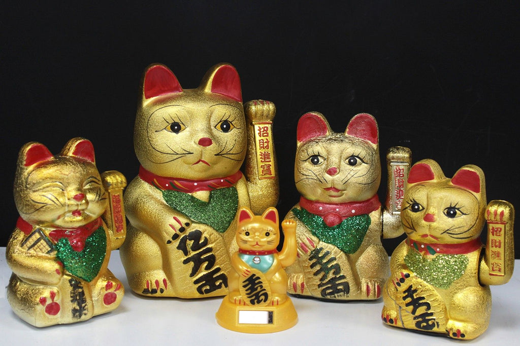 Large Money Cat