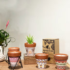 Agnes + Cat Herb Garden Candles - Sage